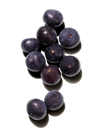 Best Ingredients for Hair: Acai Oil | Prose