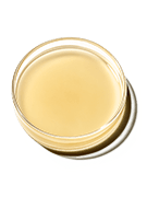 Kombucha Tea