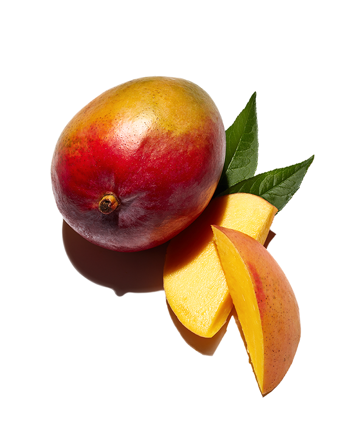 truly-custom-haircare-and-skincare-prose