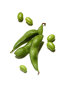 Soy Proteins