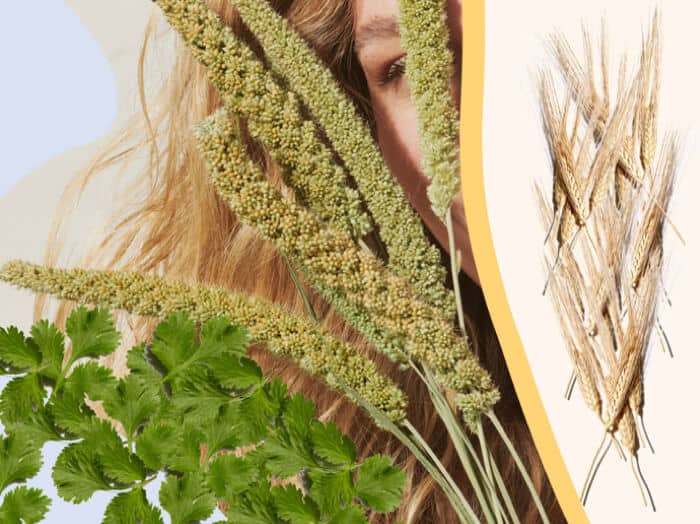 How Millet Seed Extract Can Help Grow Your Hair to New Lengths
