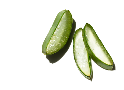 Best Ingredients for Hair: Aloe Vera Juice | Prose