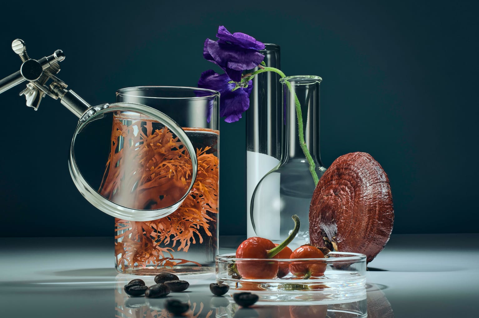 Lab still life: glassware, a magnifier, seaweed and coffee beans on a table