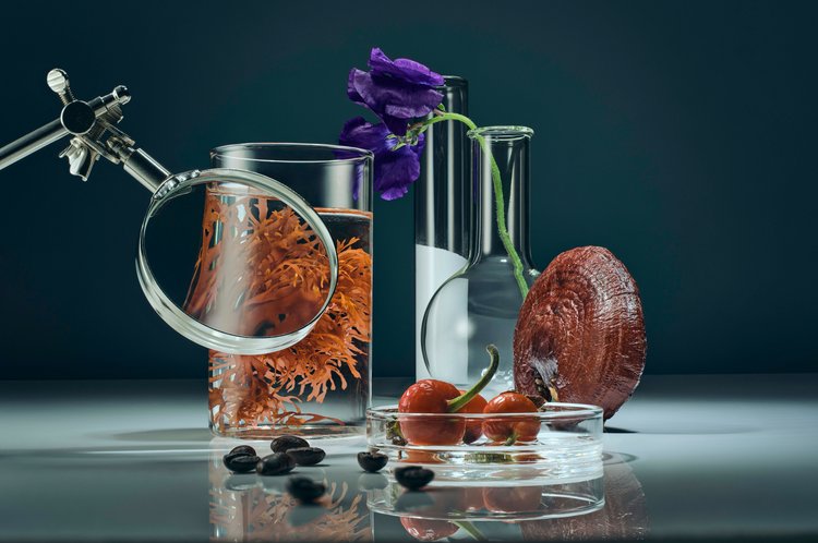 Lab still life: glassware, a magnifier, seaweed and coffee beans on a table